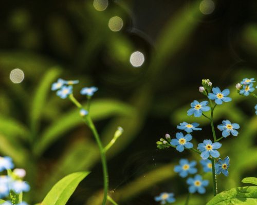 jevgenijs-grigorjevs-26WgRCsCYFI-unsplash